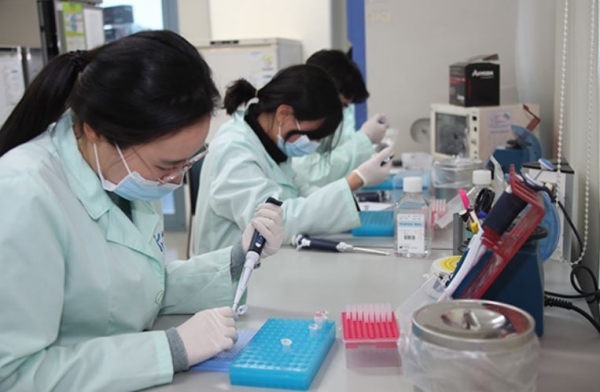 지난 5일 서울 금천구의 신종 코로나바이러스 진단시약 제조업체인 코젠바이오텍에서 연구원들이 진단시약 실험을 하고 있다.