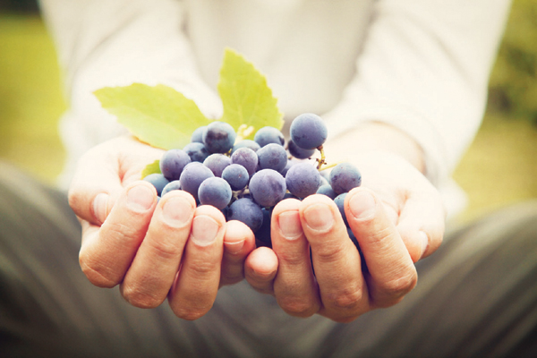 내추럴 와인은 유기농 또는 바이오다이나믹 등의 친환경·재래식 농법으로 경작한 포도를 사용한다. 양조 과정에서까지 어떠한 첨가물도 넣지 않는 점에서 유기농 와인과 차이를 보인다.