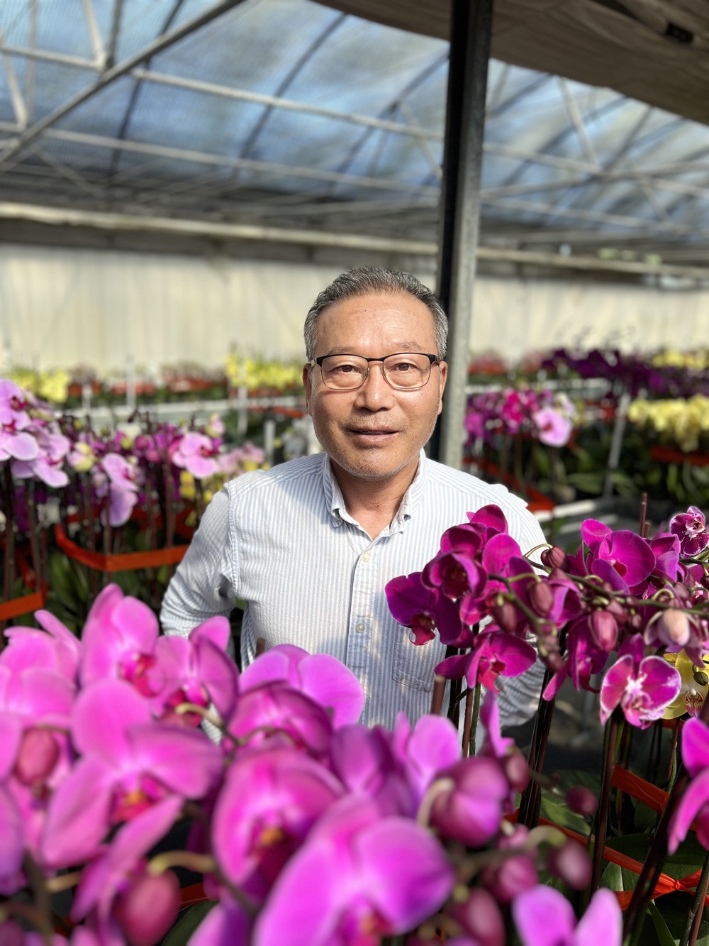 황병구 미주한상총연 회장이 미국 올랜도에 위치한 자신의 코러스 오키드(Korus orchid) 농장에서 직접 재배중인 호접난과 포즈를 취하고 있다.