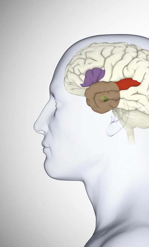 뇌전증은 과거 간질이라고 불리던 질환으로 약 0.7~1.2%의 사람들이 앓고 있는 신경계의 만성 질환이다. 일반인들이 뇌전증에 대해 오해하고 있는 점에 대해 알아보자. 