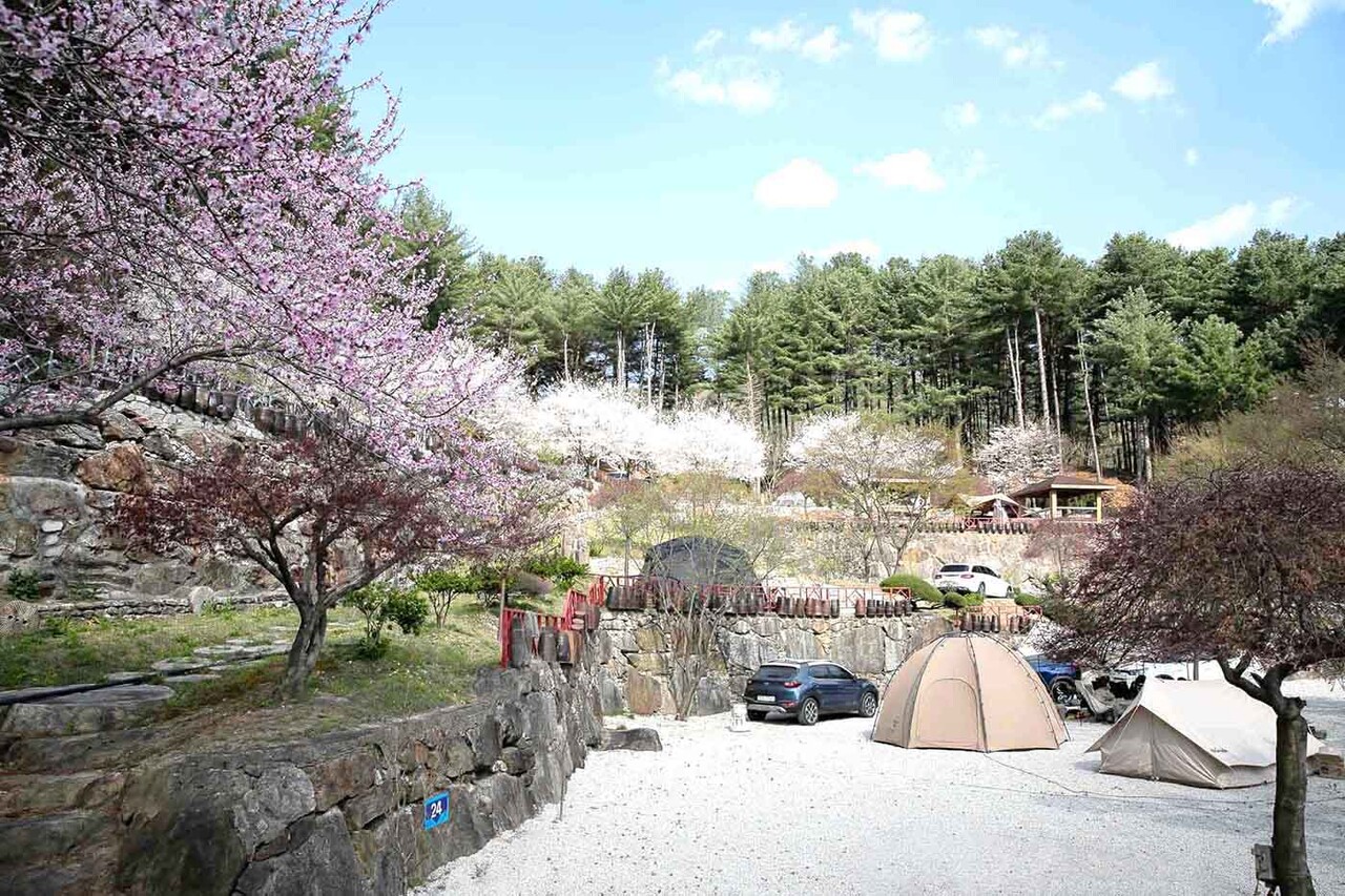 건강 챙길까, 휴식 취할까, 감성 맛볼까⋯다 누리고픈 ‘삼색 캠핑’