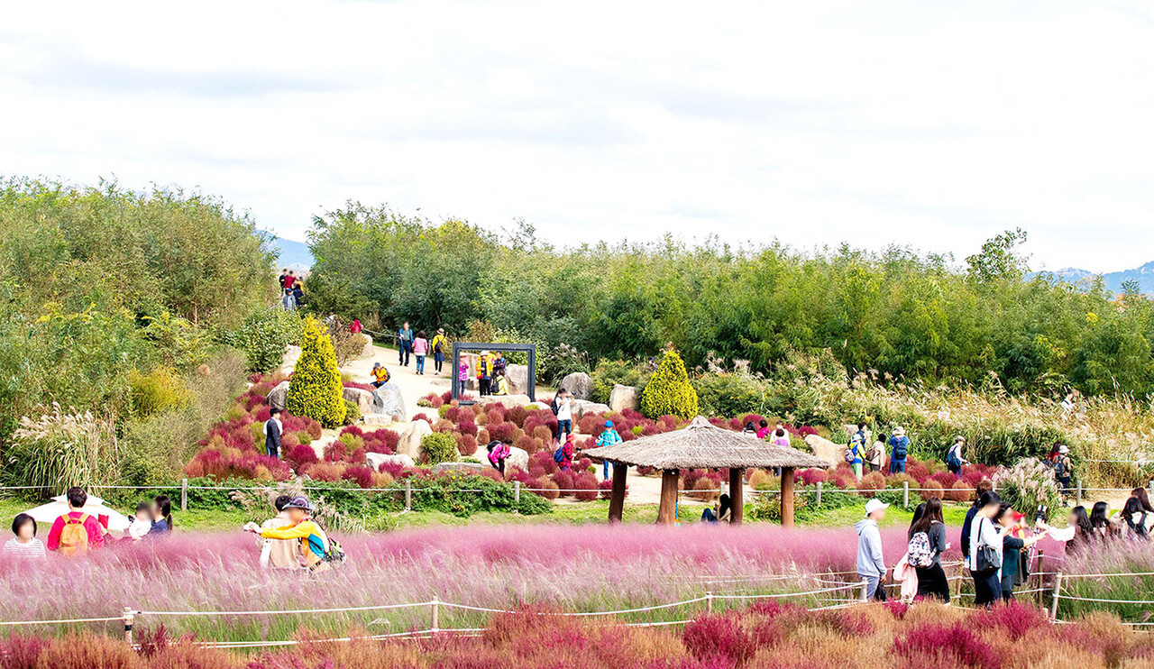 상암 하늘공원. ⓒ한국관광공사 포토코리아-김지호