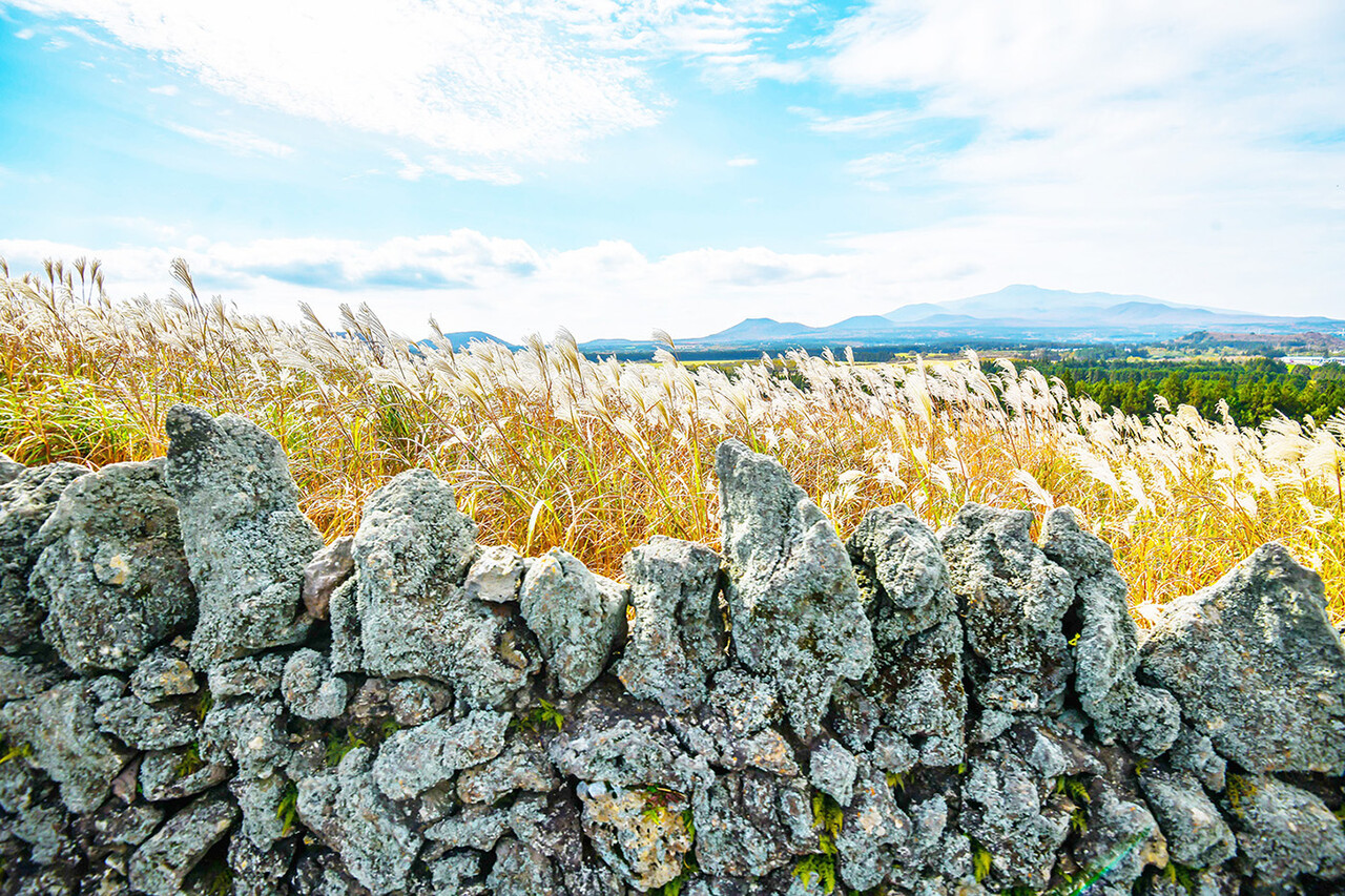제주 산굼부리. ⓒ한국관광공사 포토코리아-두드림