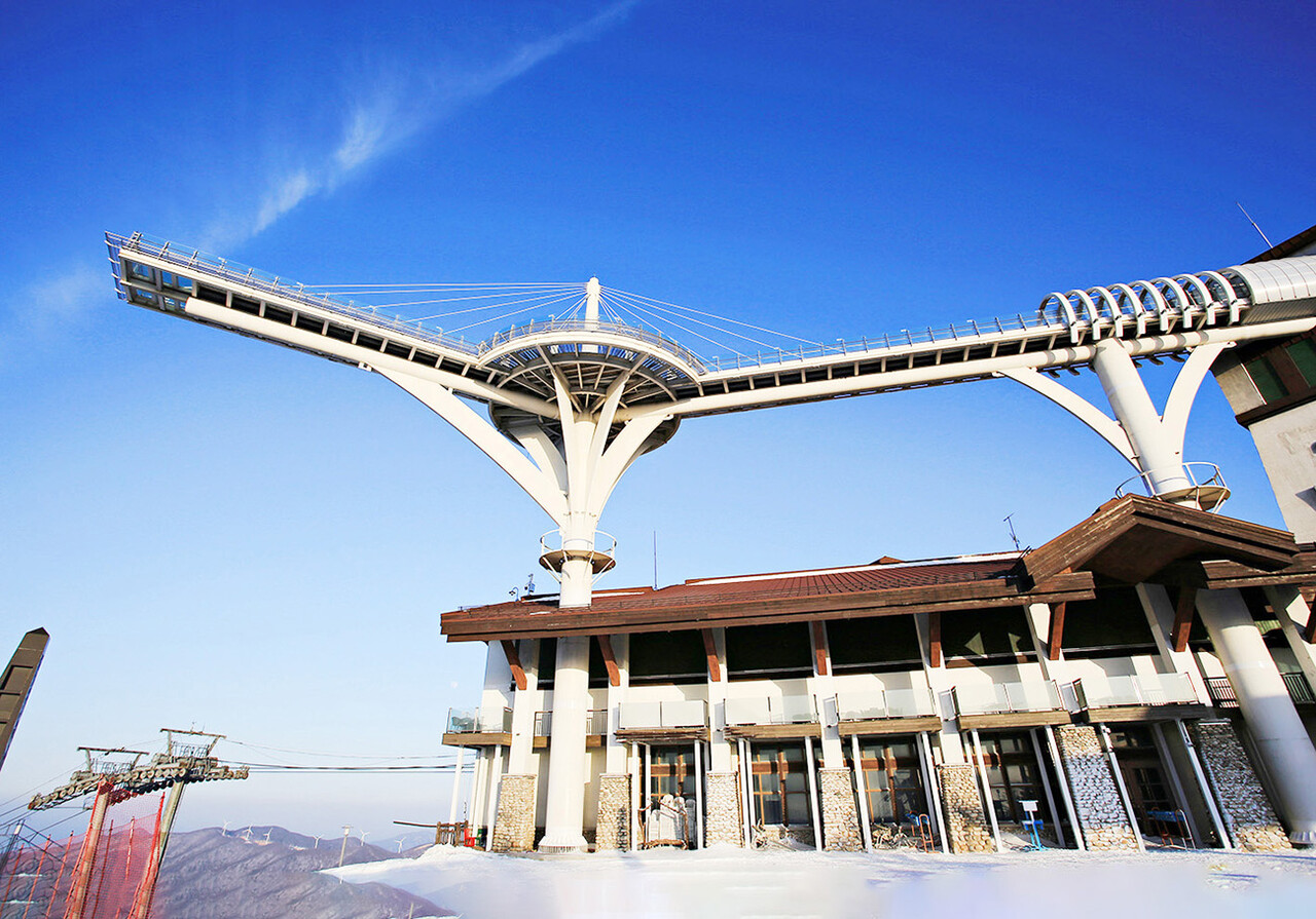 대관령 발왕산 정상부에 설치된 스카이워크