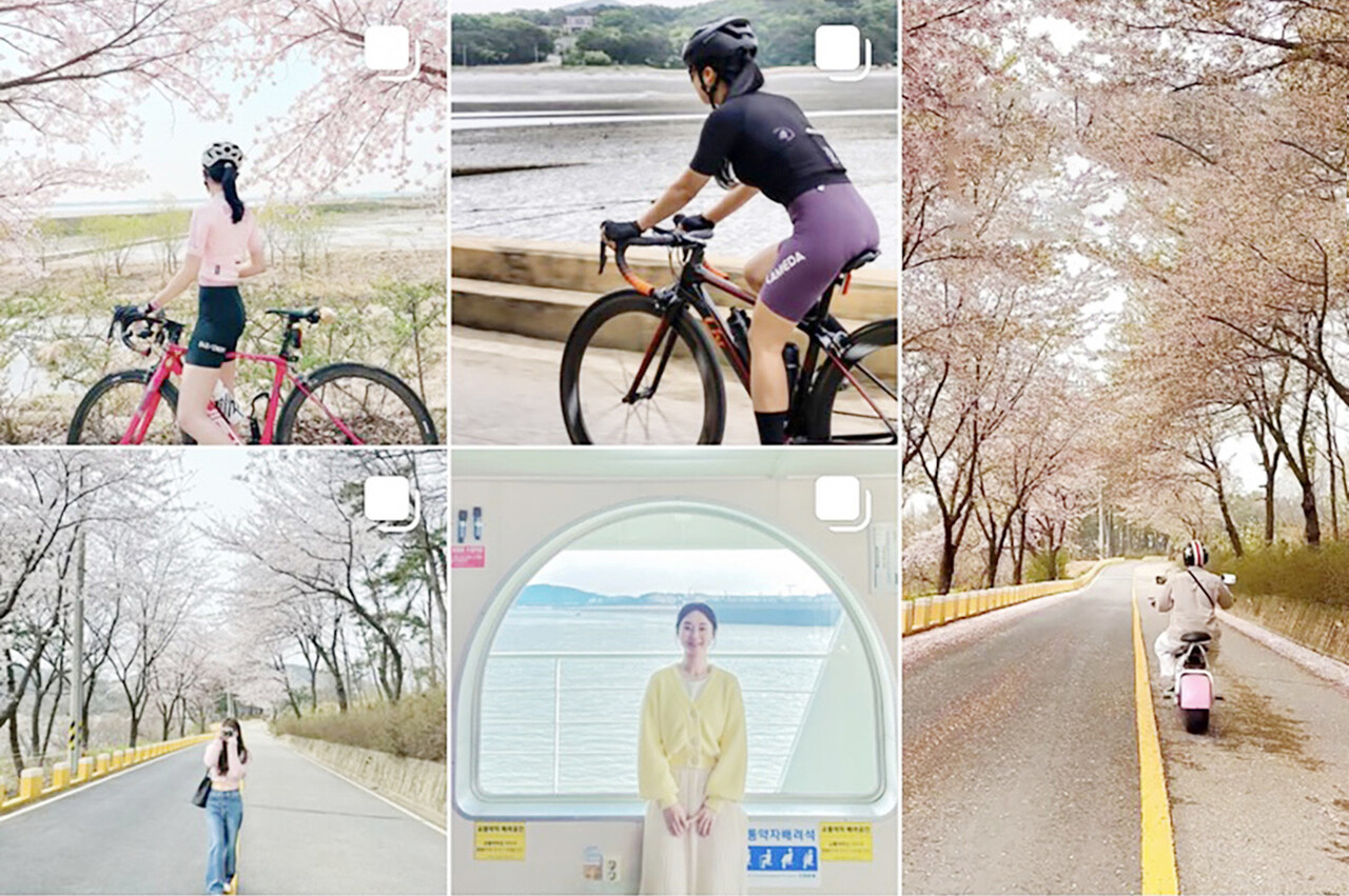 인천 신시모도는  벚꽃을 감상할 수 있는 숨은 벚꽃 명소다. SNS에 관련 해쉬태그를 검색하면 라이딩하며 즐기는 신시모도 벚꽃의 모습을 확인할 수 있다.