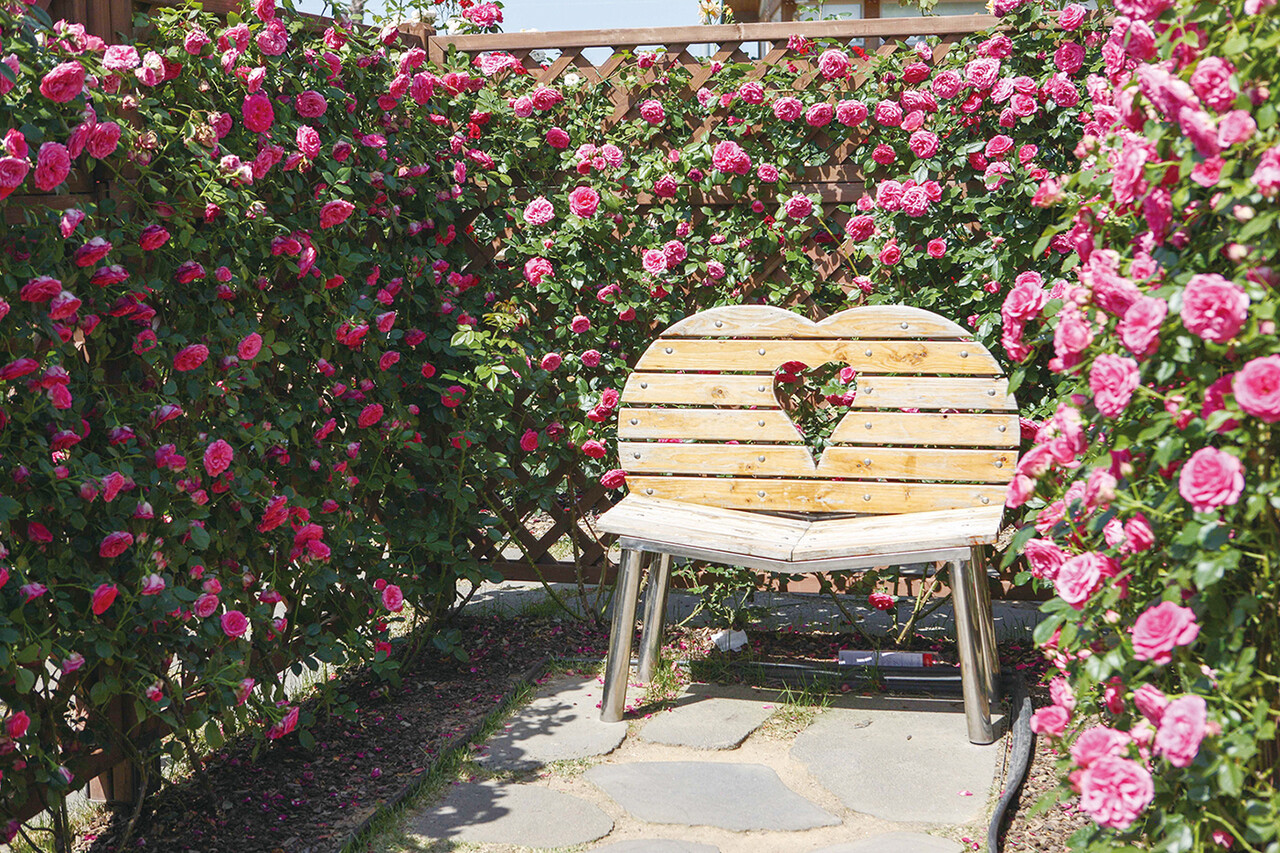 곡성 섬진강기차마을