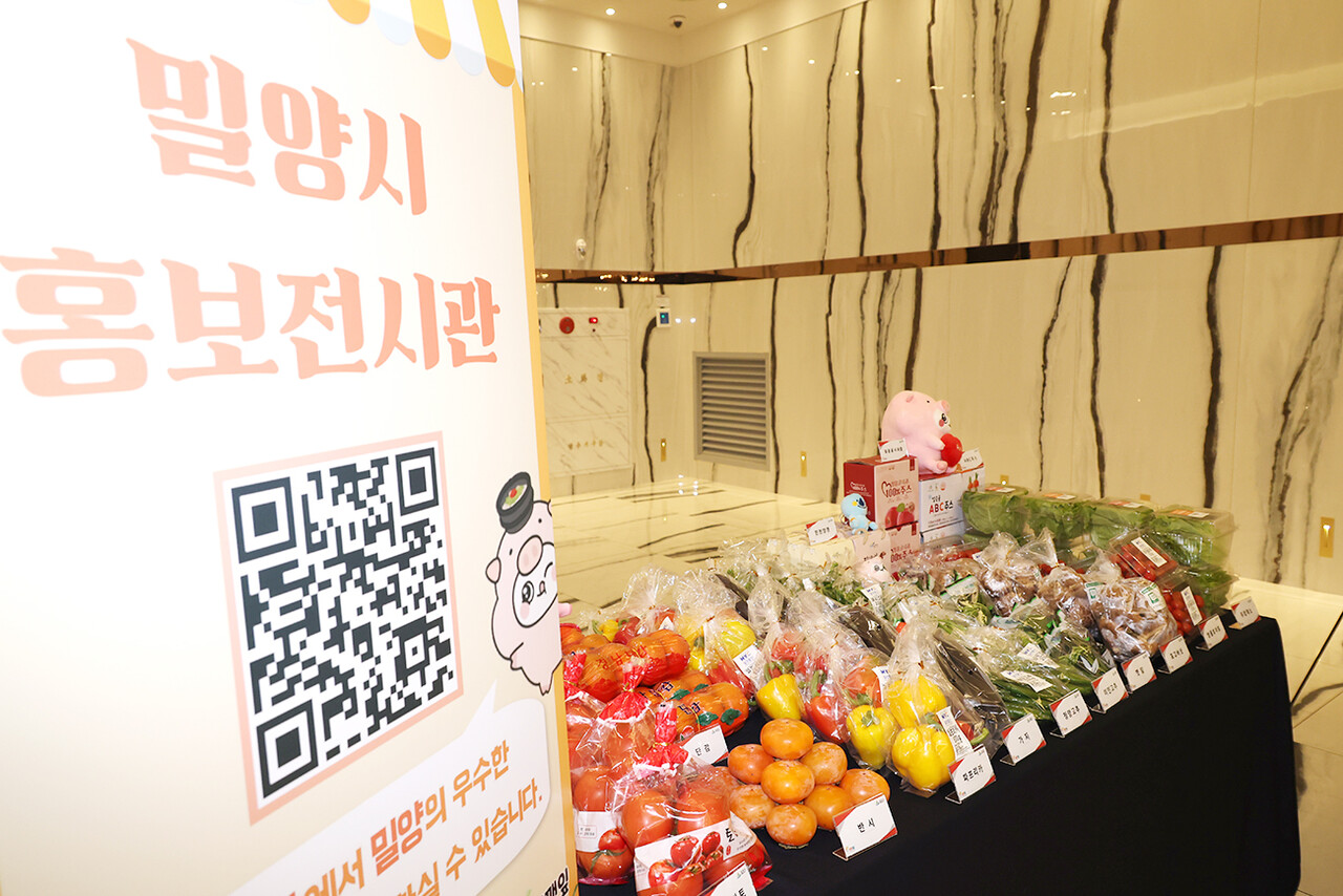 밀양시 홍보전시 부스