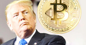 [인포그래픽으로 본 신산업] 가상자산, 이제는 전략 자산... 디지털 금융... - 뉴스 썸네일 이미지